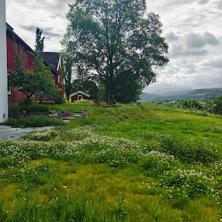 Op zoek naar rust?
Precies een jaar geleden vond ik stilte en balans bij Auskin Creative Center, langs de S:t Olavsleden. Nu, een jaar later, keer ik terug. Opnieuw wandelen, opnieuw vinden wat ik onderweg even kwijt was. Een reis naar eenvoud, rust en nieuwe inzichten. Het aftellen is begonnen.