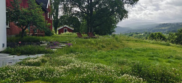 Nieuwe Plannen: Opnieuw naar de Olavsleden