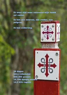 Een Pad Naar Binnen; Mijn Pelgrimstocht op de S:t Olavsleden - Afbeelding 4